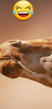 This live wallpaper features a close-up photograph of a smiling giraffe, complete with copper wire whiskers and a Coca Cola can in the shape of a camel head on its neck