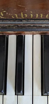 This unique live wallpaper for Android devices features a beautifully detailed close-up photo of a piano keyboard set against a liminal background adorned with intricate fibonacci spirals and fractal patterns