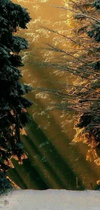 This elegant phone live wallpaper showcases a serene, snow-filled forest scene with a colourful sun and glowing trees