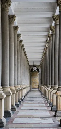 This live phone wallpaper features a stunningly long hallway with tall columns, intricate details and warm earthy tones