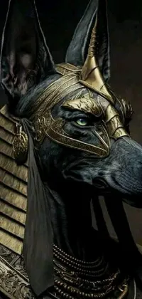 Anubis wallpaper deals