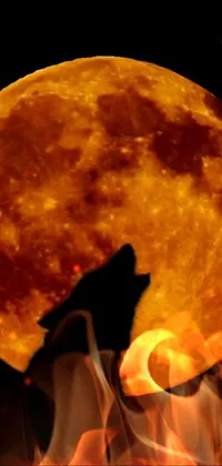 This phone live wallpaper depicts a howling wolf against a full moon, with epic red-orange moonlight