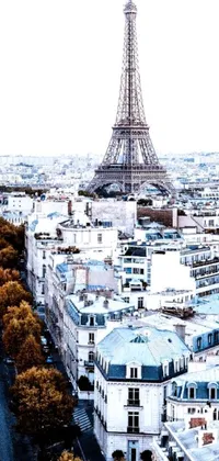 Enjoy the stunning view of the Eiffel Tower from a building's rooftop with this Paris-themed live wallpaper