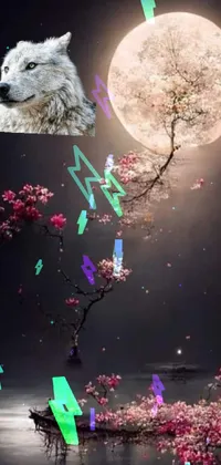 World Light Moon Live Wallpaper