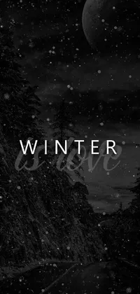 This live wallpaper for mobile devices captures the essence of winter with a stunning black and white photograph