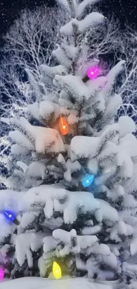 Looking for a stunning live wallpaper to decorate your phone this holiday season? Look no further than this snow-covered Christmas tree, complete with colorful lights and glowing lanterns