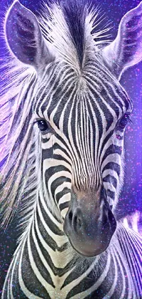 Zebra Light Nature Live Wallpaper