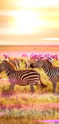 Experience the beauty of Africa through this stunning phone live wallpaper