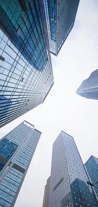 Skyscrapers Live Wallpaper
