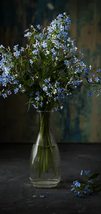 Flower Vase Live Wallpaper - free download