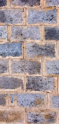 Brick Wall Live Wallpaper