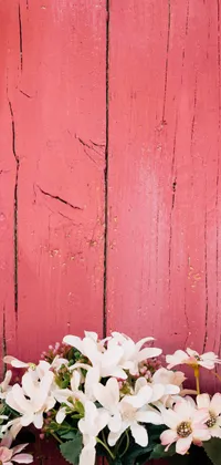 Flowers on Pink Wood Live Wallpaper