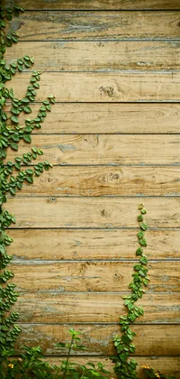 Vines on Wood Wall Live Wallpaper