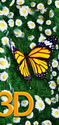 Garden Butterfly 3D Live Wallpaper