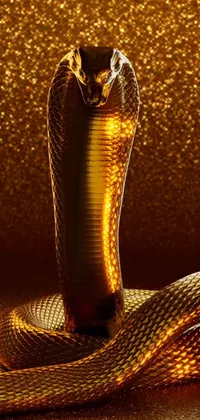 King Cobra Gold Live Wallpaper - free download