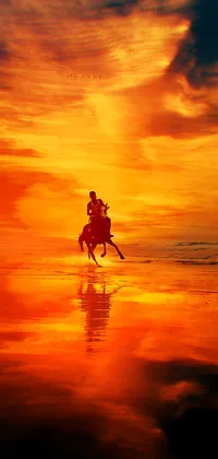 Horse and Rider Silhouette During Sunset Live Wallpaper