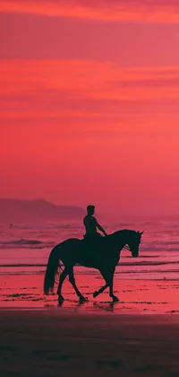 Horse and Rider Silhouette on the Beach Live Wallpaper