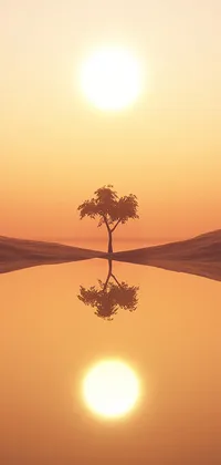 Sunset Tree Live Wallpaper