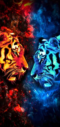 Fire And Ice Live Wallpaper - free download