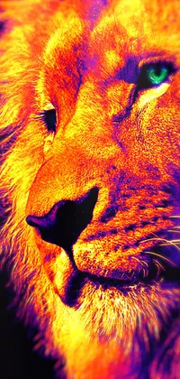 Lone Lion Live Wallpaper - free download