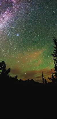 Stars Over Forest Mood Live Wallpaper