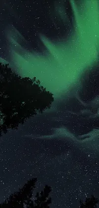 Green Aurora Live Wallpaper