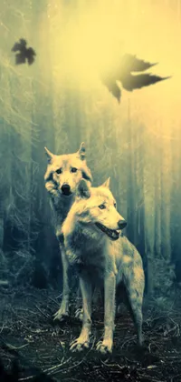 Two Wolves Live Wallpaper