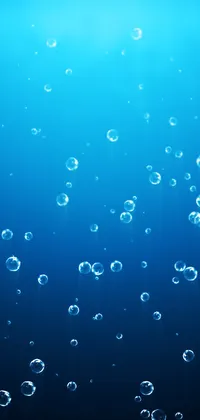Water Bubbles Wallpaper Live Wallpaper