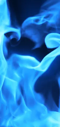 Blue Fire Skull Live Wallpaper for Android  Download  Cafe Bazaar