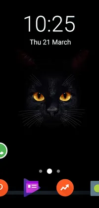 Black Cat Live Wallpaper - free download