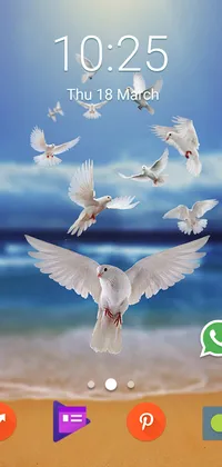 Doves Live Wallpaper
