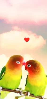 Lovebirds Moving Romantic Live Wallpaper - free download