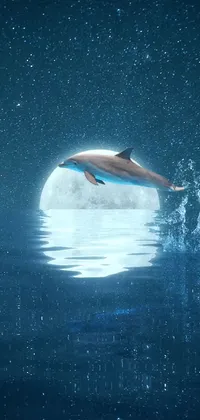 wallpaper iphone x  Dolphin art Ocean animals Ocean wallpaper