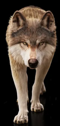 Wolf Wallpaper Live Wallpaper