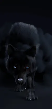 Smoke Black Wolf Live Wallpaper