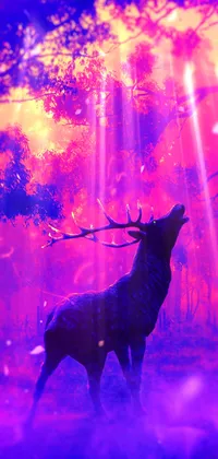 Deer Live Wallpaper - free download