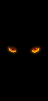 Yellow orange eyes Live Wallpaper