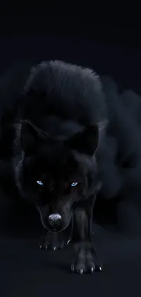 HD Wolf Wallpaper 4K - Apps on Google Play