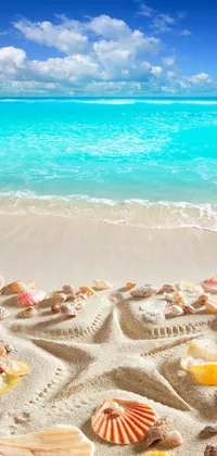 Beach with Shells Live Wallpaper