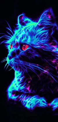 HD neon kitty wallpapers