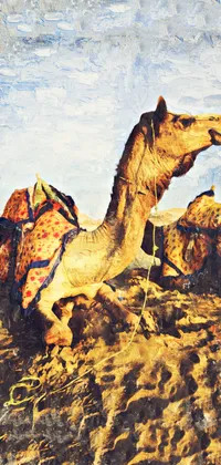 Camel Live Wallpaper
