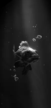 Dark fish Live Wallpaper