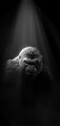 Dark gorilla Live Wallpaper