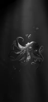 Dark octopus Live Wallpaper