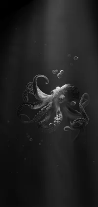 Dark octopus Live Wallpaper