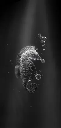 Dark seahorse Live Wallpaper