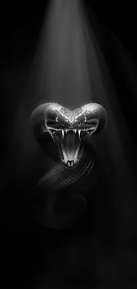 Dark snake Live Wallpaper