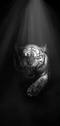 Dark tiger Live Wallpaper