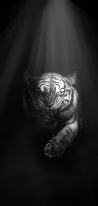 Dark tiger Live Wallpaper