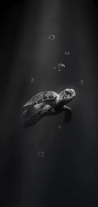 Dark turtle Live Wallpaper
